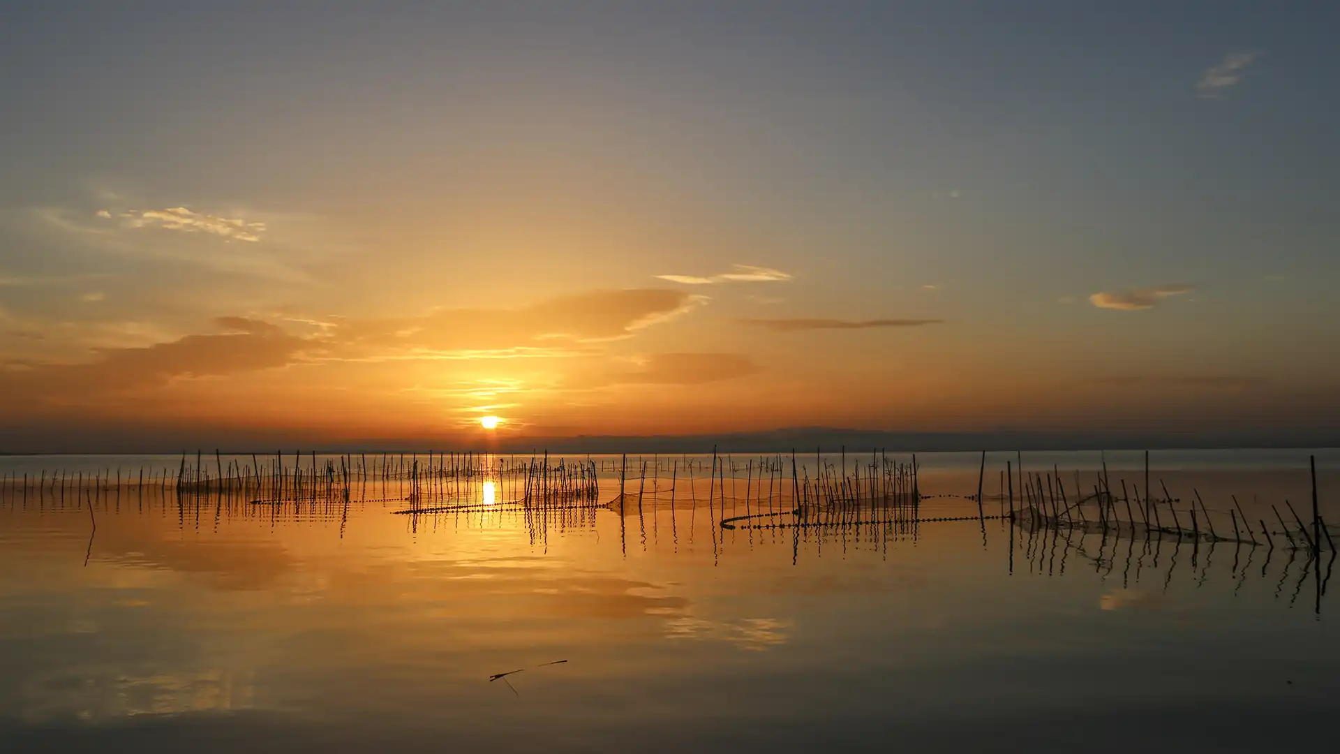 Descubre la Albufera de Valencia con tu coche de alquiler